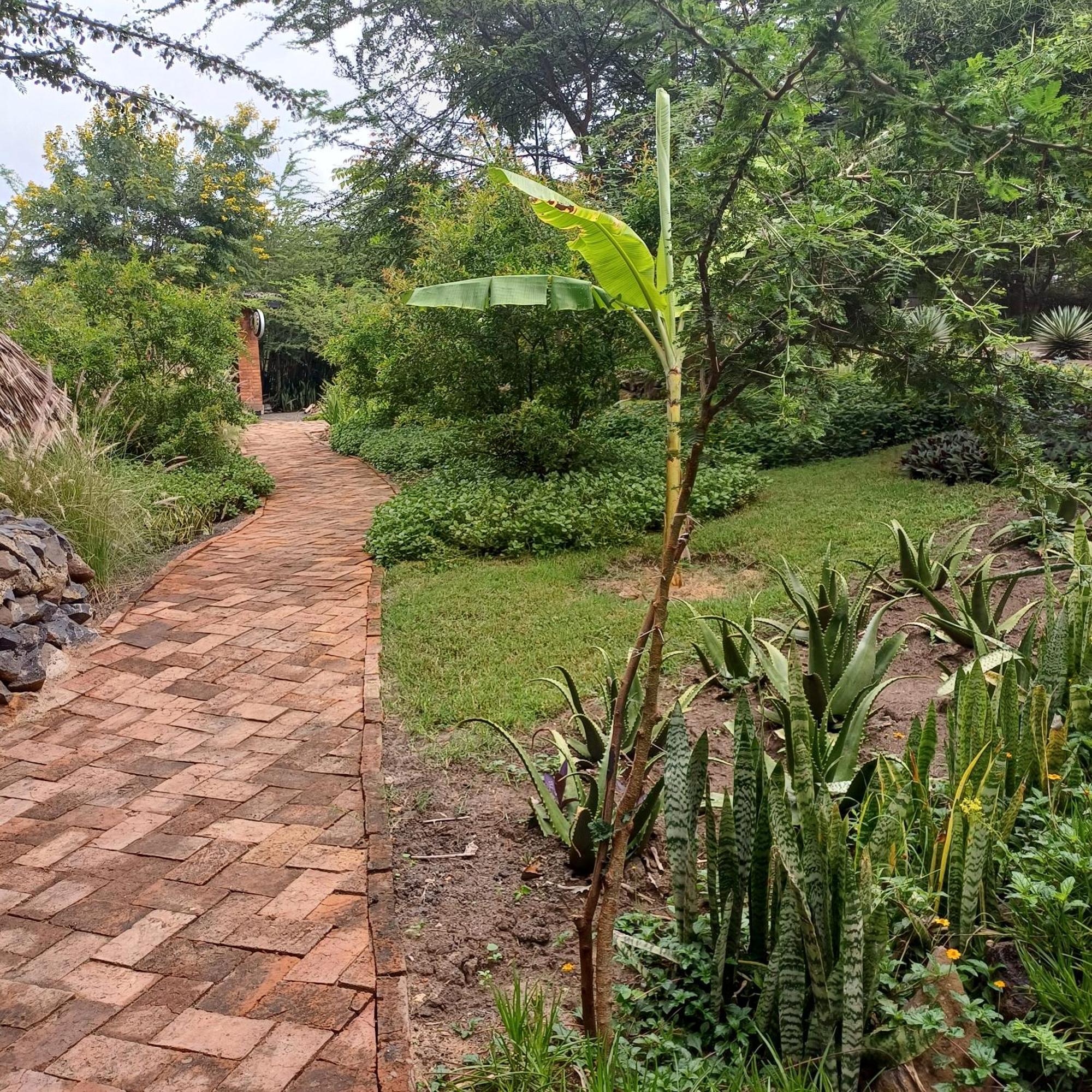 Kutoka Arusha